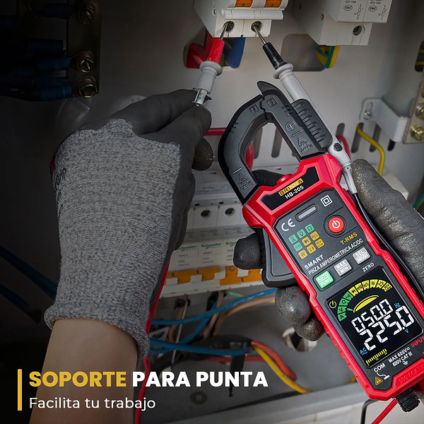 Pinza Amperimétrica 6